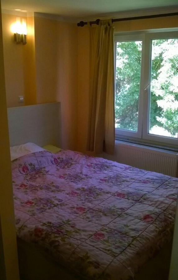 Saray Downtown Apartment Private Parking Free Wifi Sarajevo Eksteriør billede